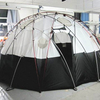 Geodesic Dome Tent
